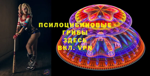 spice Осташков