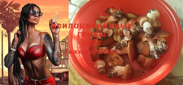 шишки Остров