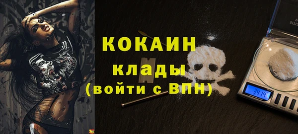 spice Осташков