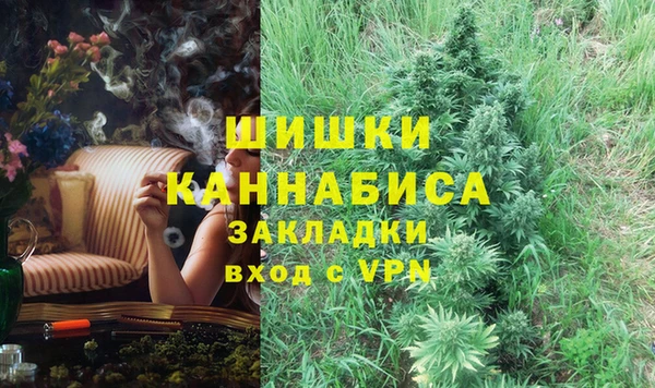 шишки Остров