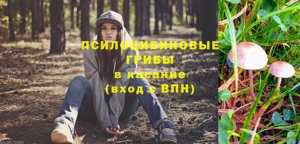 spice Осташков